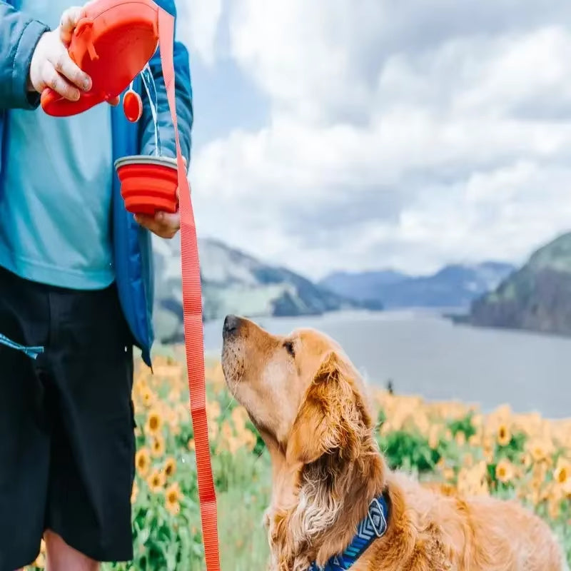 Multifunction Pet Dog Leash